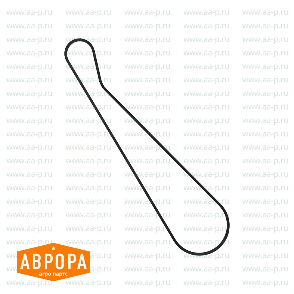 N223344 ГНЕЗДО